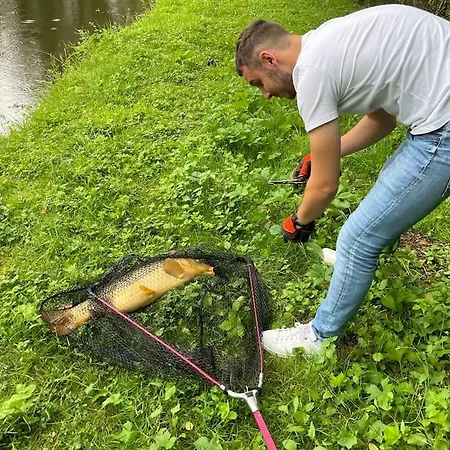 Domaine De 6 Hectares Avec 2 Etangs Que Pour Vous