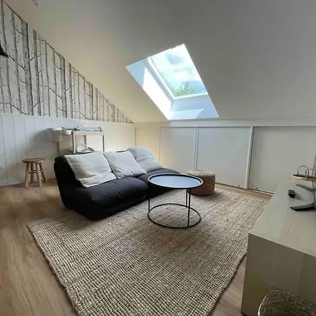Domaine De 6 Hectares Avec 2 Etangs Que Pour Vous