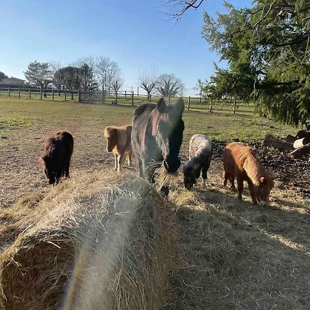 Feriehus Domaine De 6 Hectares Avec 2 Etangs Que Pour Vous
