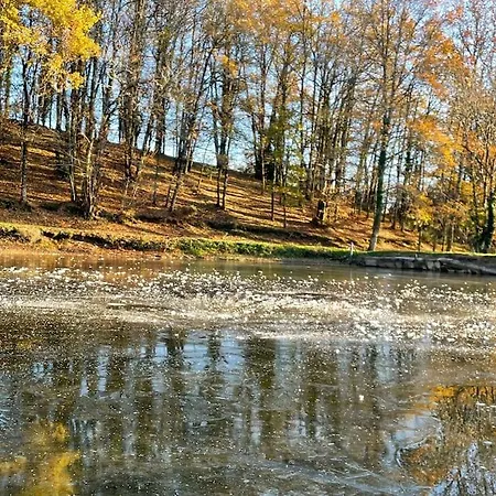 Domaine De 6 Hectares Avec 2 Etangs Que Pour Vous