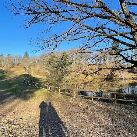 Domaine De 6 Hectares Avec 2 Etangs Que Pour Vous *
